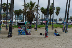 201905_R66_9222_santa_monica_wmk