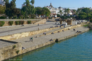 202212_seville_2245_bords_du_guadalquivir_wmk