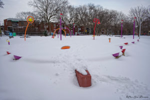 202303_quebec_0300_montreal_parc_wmk