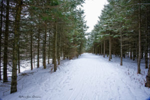 202303_quebec_0432_coaticook_wmk