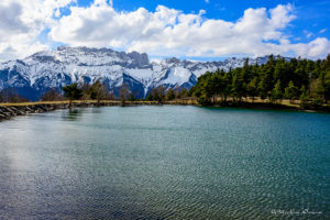 202602_champsaur-37_filigrane