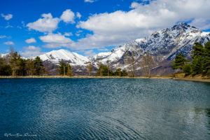 202602_champsaur-40_filigrane